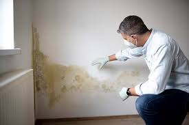 Why You Should Choose Our Mold Remediation Services in Sewalls Point, FL